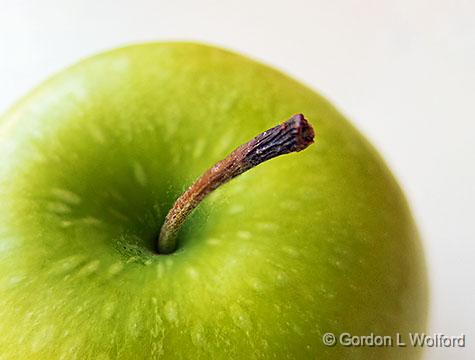 Green Apple_00353-4A.jpg - Photographed at Smiths Falls, Ontario, Canada.